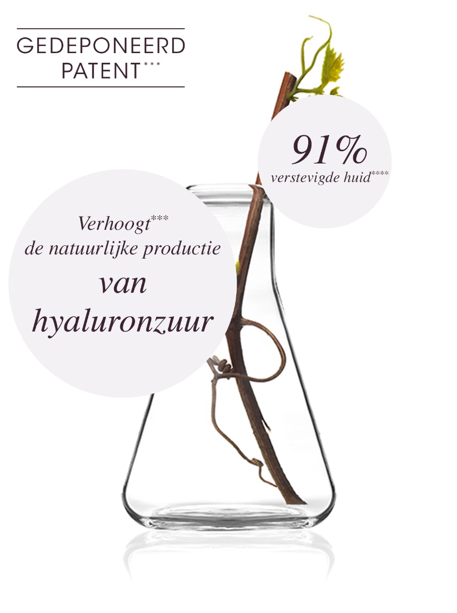 Resvératrol
